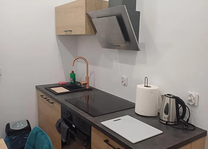 Apartment Apartament Wladyslawowo *